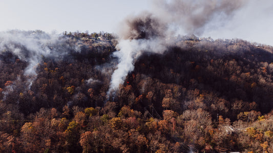 Wildfire smoke rising over a forested hillside
